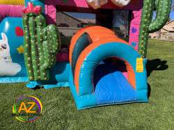 Llama20Water20Slide20Bounce20House20Combo20Rental205 1676217114